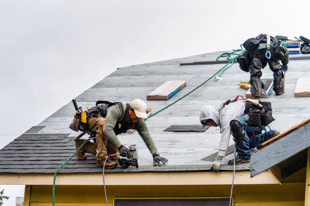 Professional Storm Damage Roof Repair technician working in Low Moor, IA